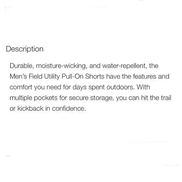 NWT, The North Face Men’s M Field Utility Shorts, Black, Size XL - Picture 12 of 15